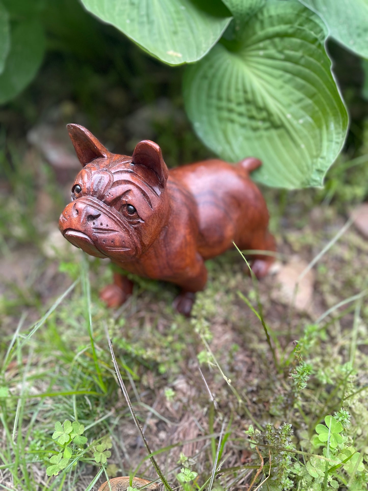 Hand-Carved Wooden Bulldog Sculpture with Black Onyx Eyes – Unique Rustic Home Decor & Gift for Dog Lovers